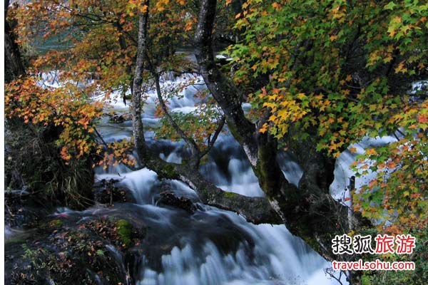 牟尼沟溪水