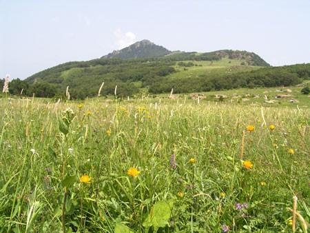 百花山自驾旅游攻略：曲径通幽 云雾如纱