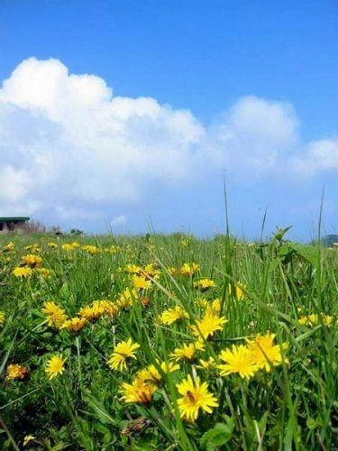 百花山自驾旅游攻略：曲径通幽 云雾如纱